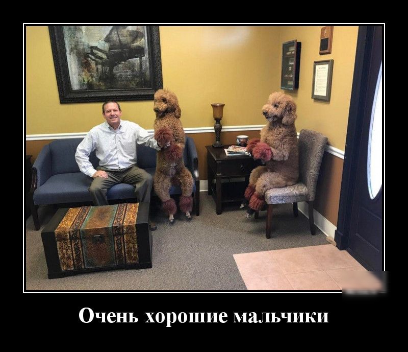 Очень хорошие мальчики