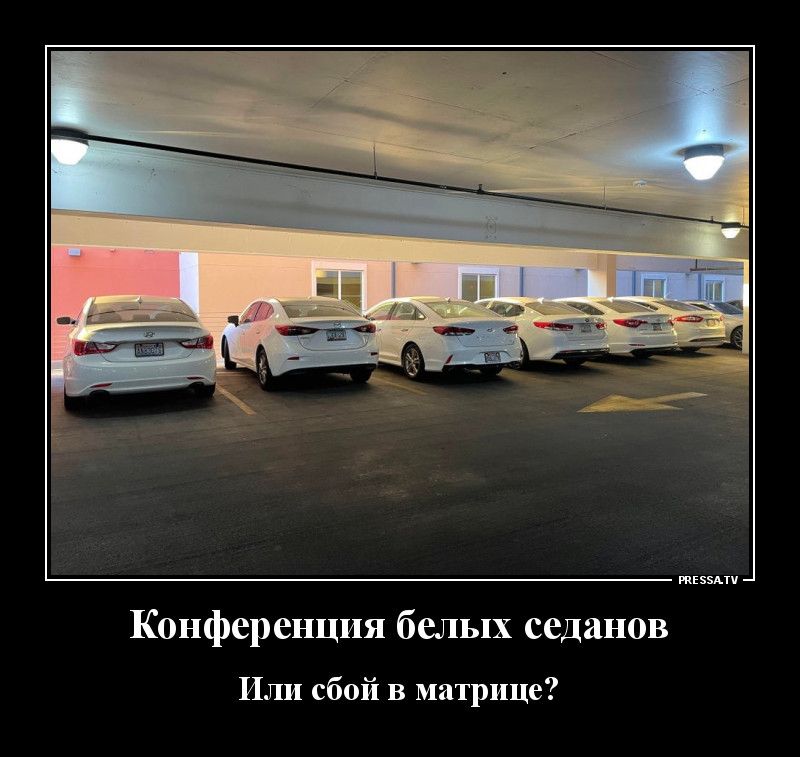 жизни Конференция белых седанов Или сбой в матрице