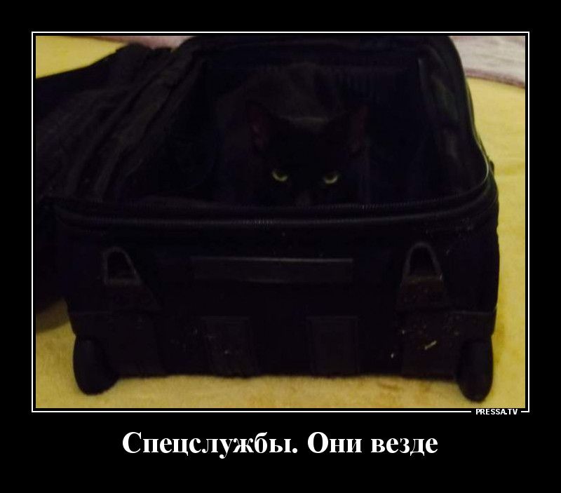 пашни Спецслужбы Они везде