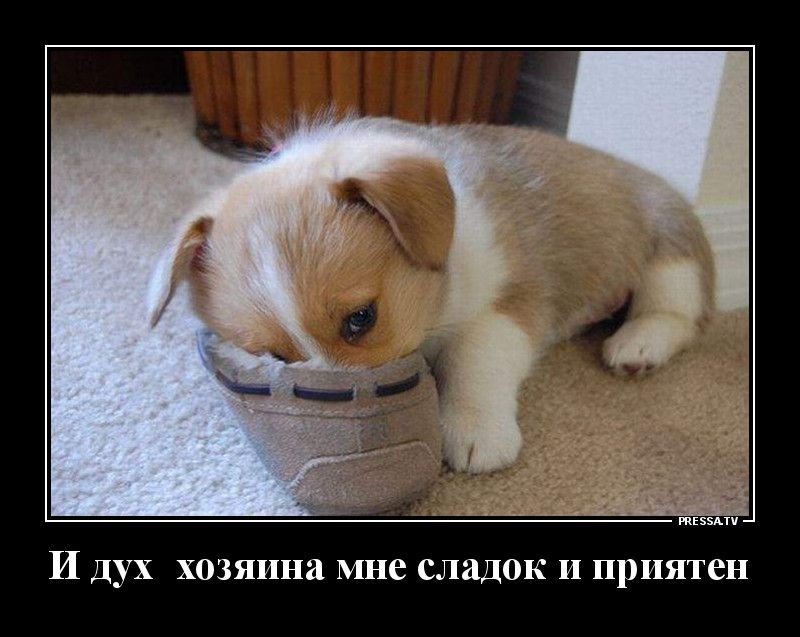тззми И Дух хозяина мне СЛЗДОК И приятен
