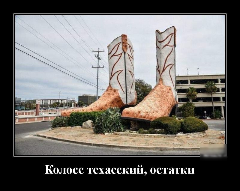 Колосс техасский остатки