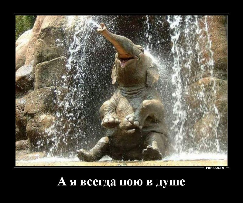 тззми А я всегда пою в Душе