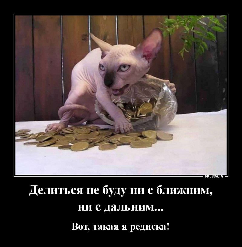 тЕээАтч Делиться не буду ни с ближним ни с Дальним Вот такая я редиска