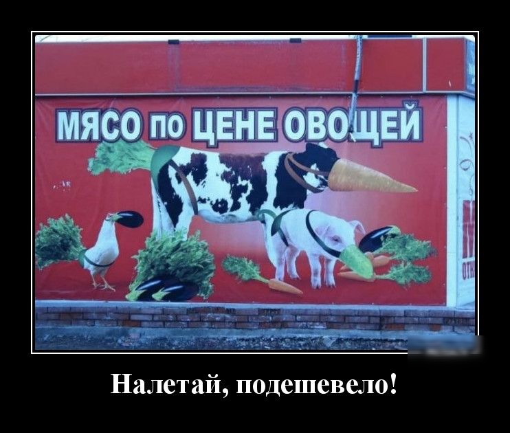 Налетай подешевело