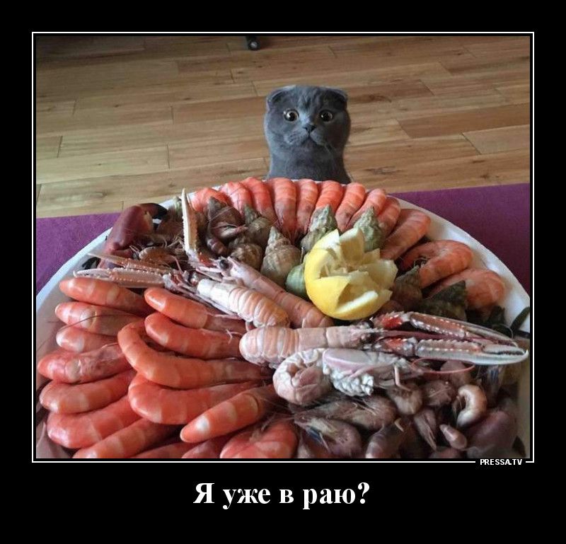 Я уже в раю