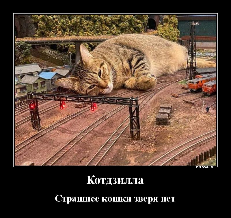 Котдзилпа Страшнее КОЦЛКИ зверя НСТ