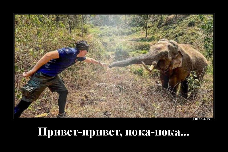 Привет привет пока пока