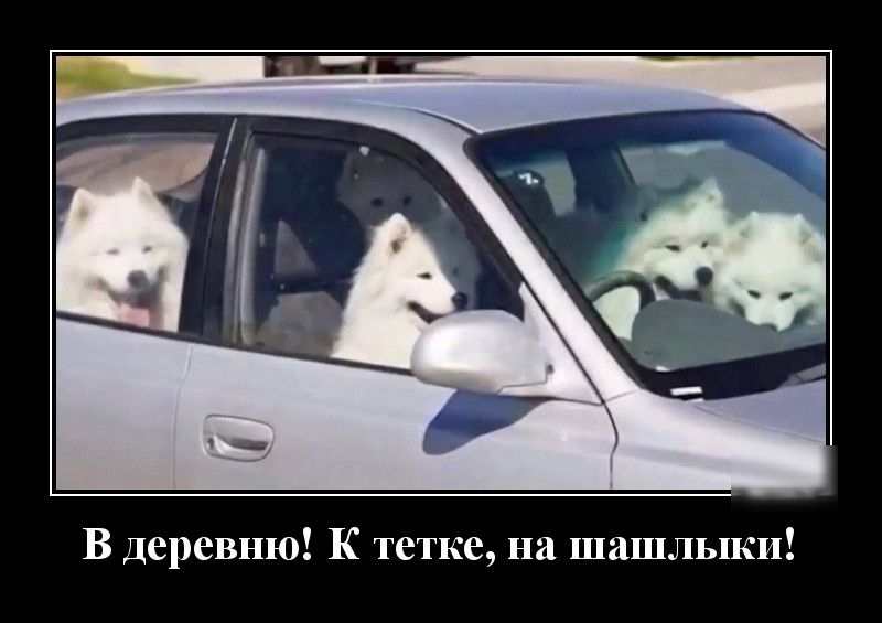 В Деревню К тетке на шашлыки