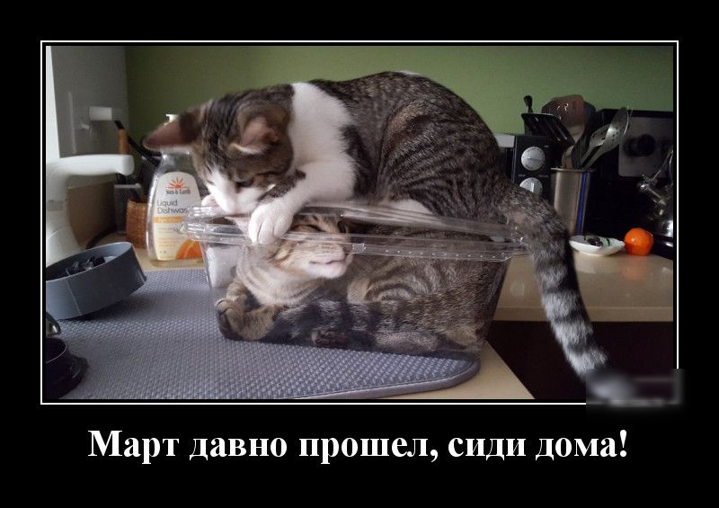 Март давно прошел сиди Дома