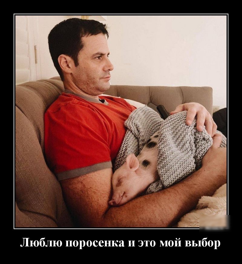 Люблю поросенка и это мой выбор
