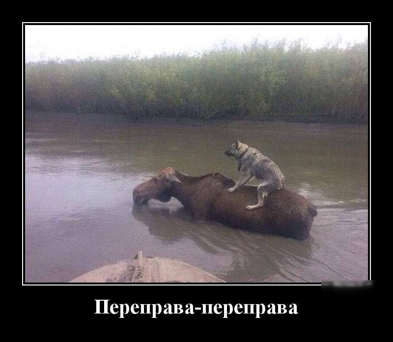 Переправа переправа