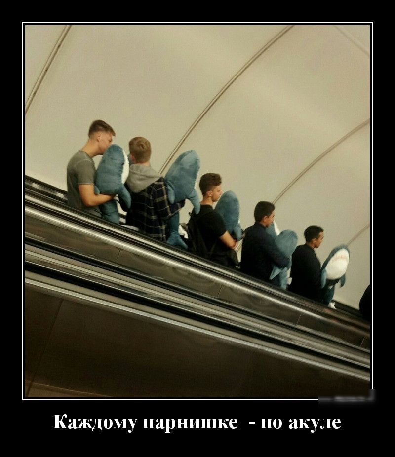 Каждому парнишке по акуле