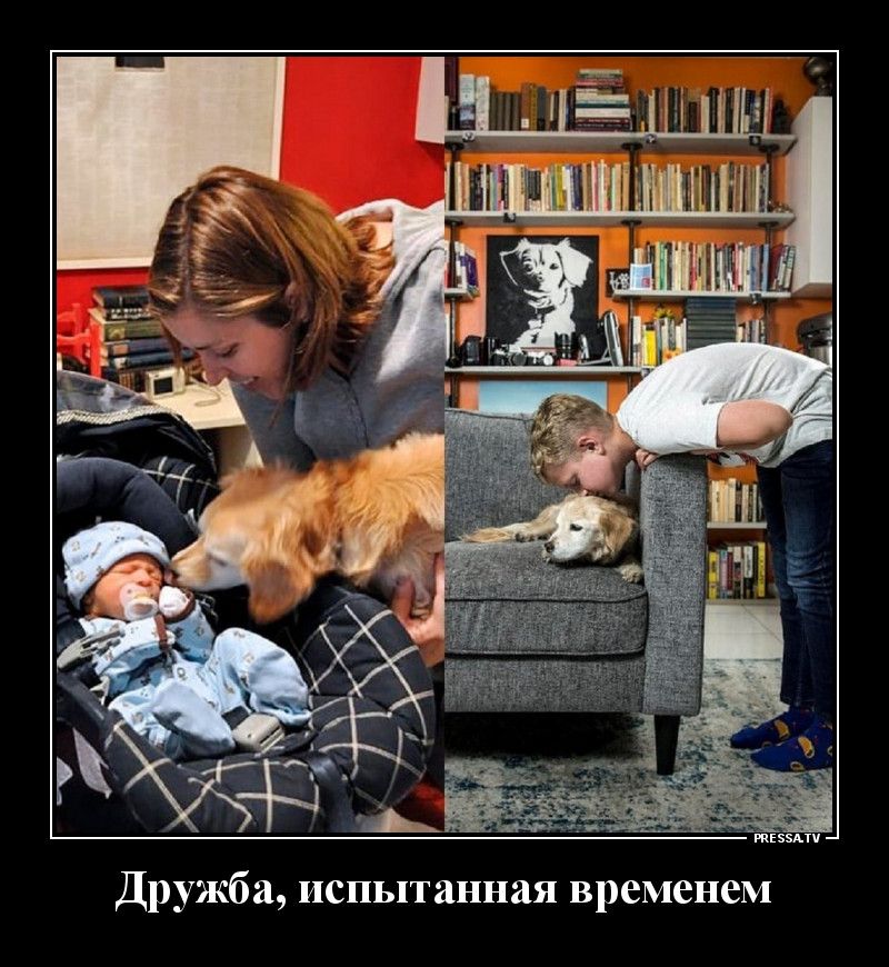 тазик Дружба испытанная временем