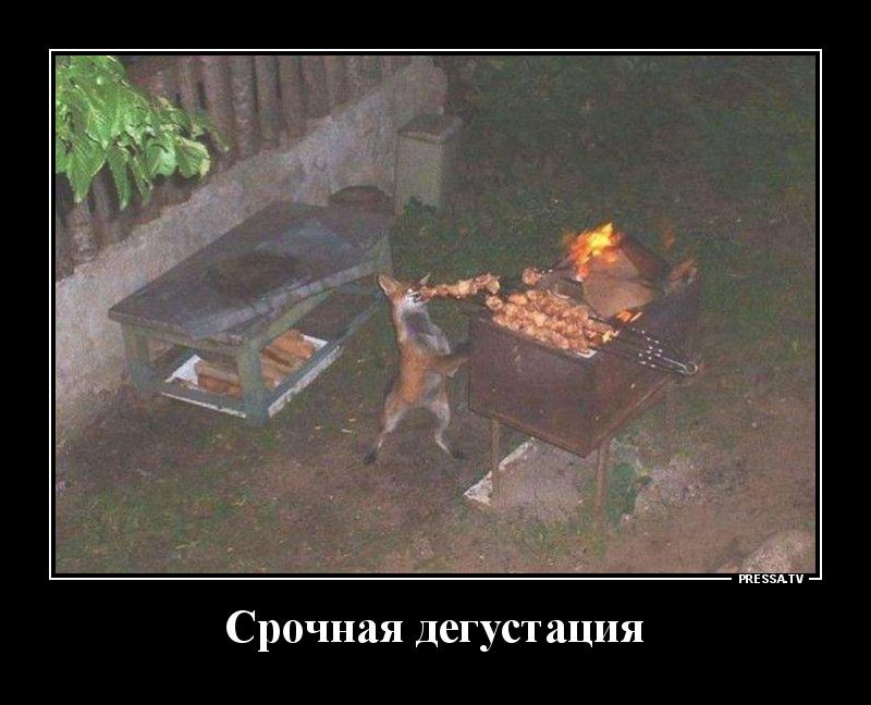 тЕззАтч Срочная дегустация