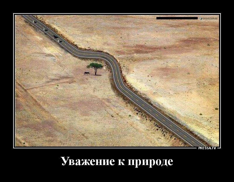 тззми Уважение к природе