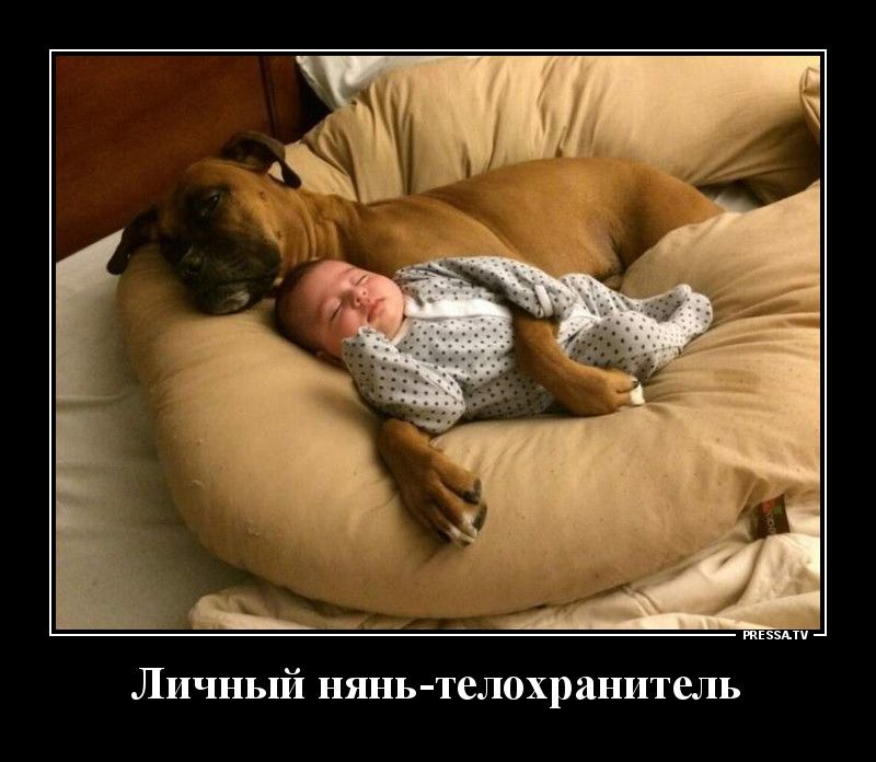 Щ д тЕззАти Личный нянь телохранитель