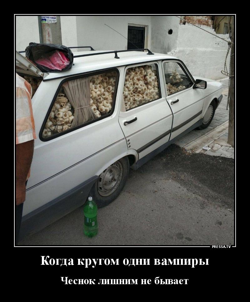 тззмч Когда кругом одни вампиры Чеснок ЛИШНИМ не бывает