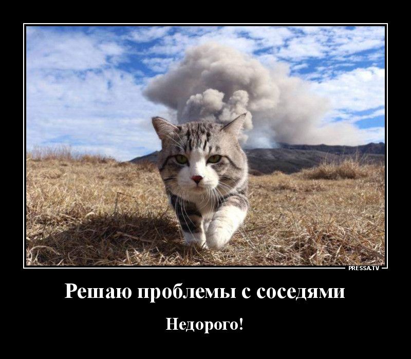 Решаю проблемы с соседями Недорого