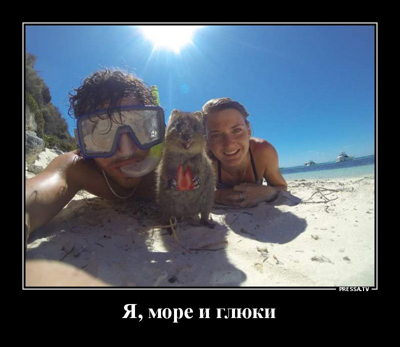 Я море и глюки