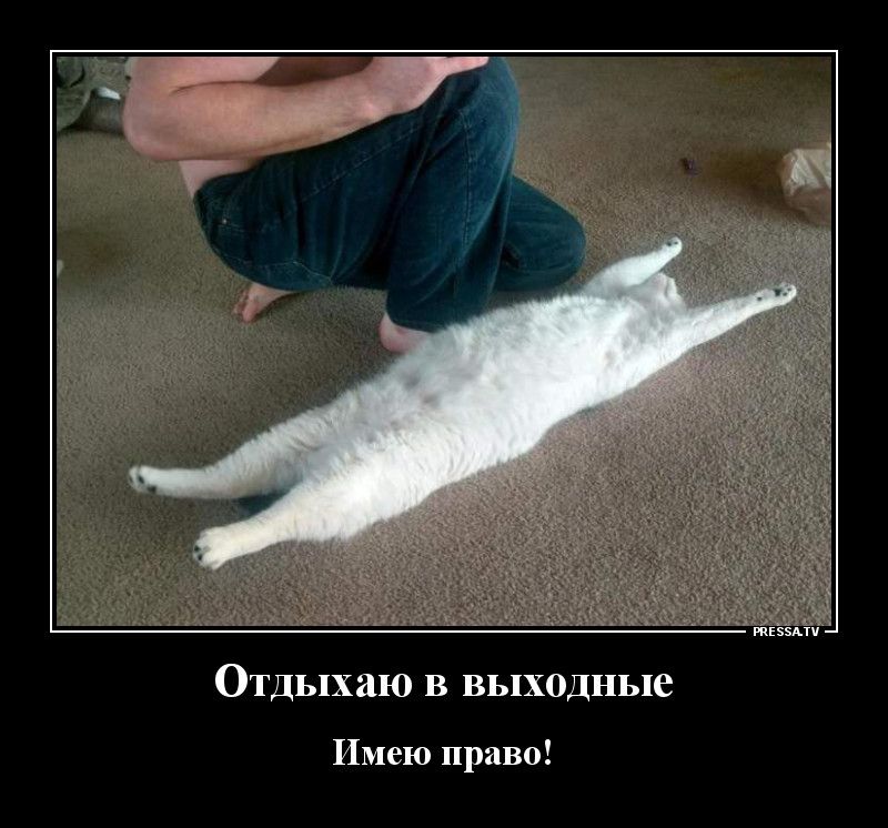ОТДЬПХЗЮ В ВЬПХОДНЬПе Имею право