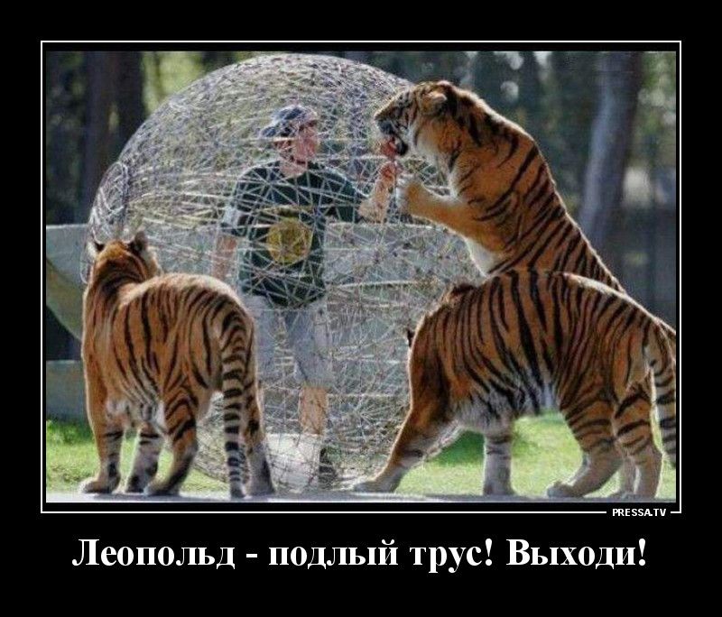 тЕэзАтч Леопольд подлый трус Выходи