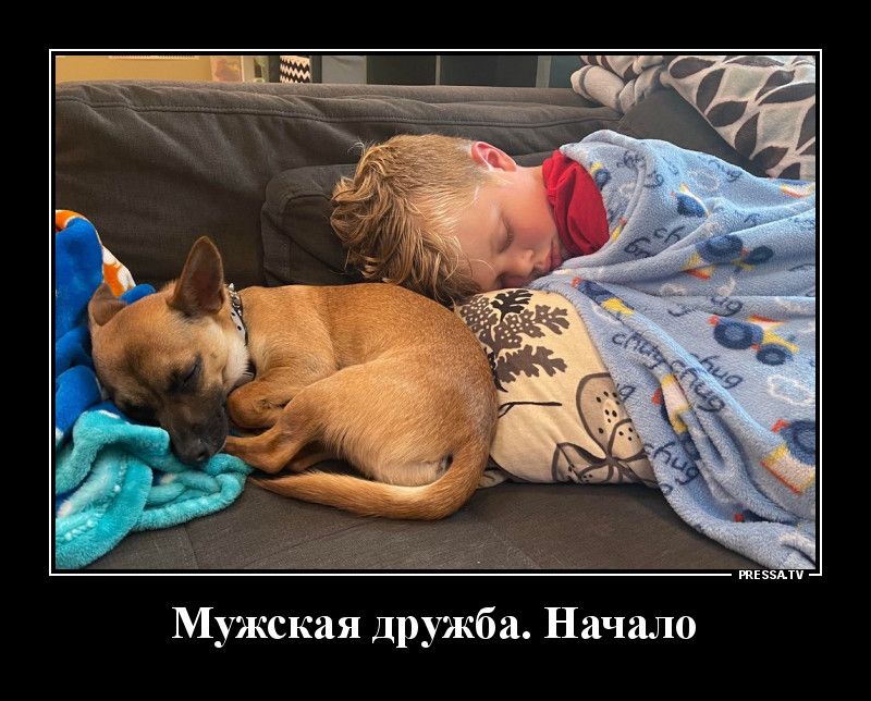 тззми Мужская дружба Начало