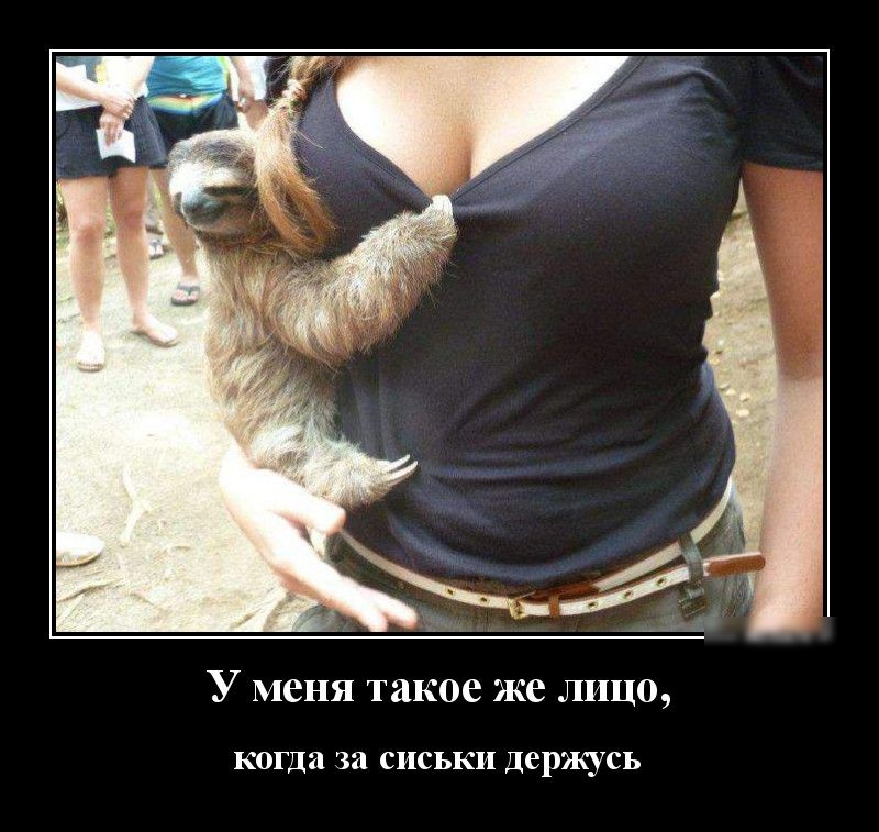 У меня такое же лицо когда за СИСЬКИ держусь