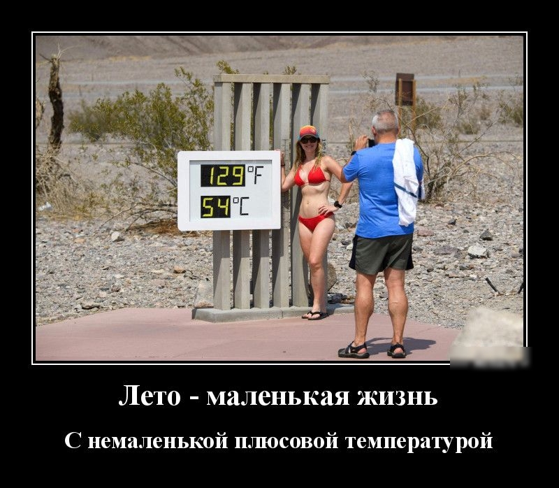 Лето маленькая жизнь С немаленькой плюсовой температурой