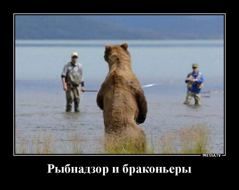 Рыбнадзор и браконьеры