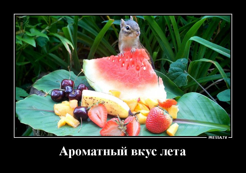тЕээАти Ароматный вкус лета