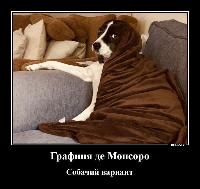 жизни Графиня де Монсоро Собачий вариант