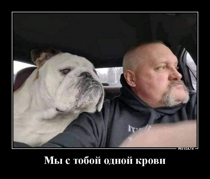 тззмп Мы с тобой одной крови