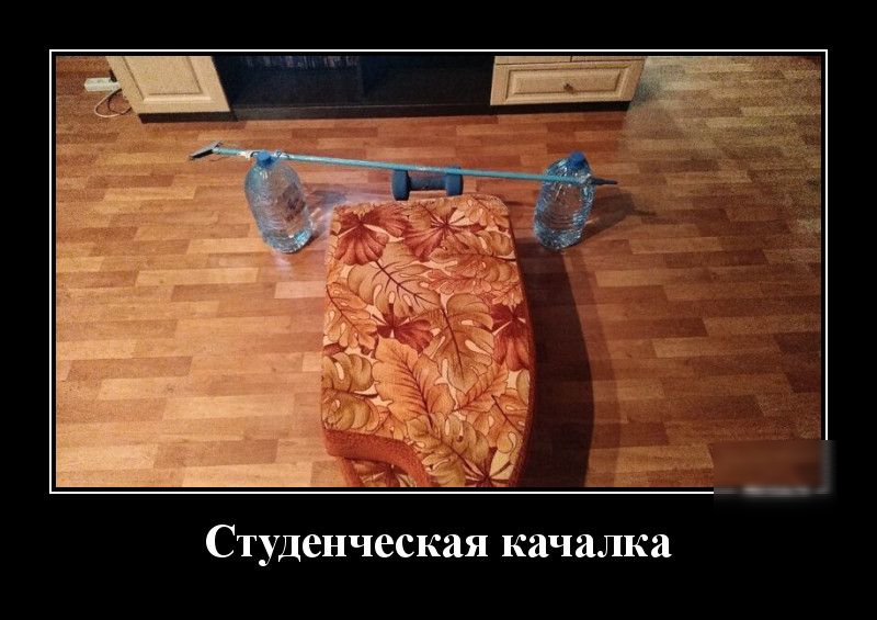 и чияьн т Студенческая качалка