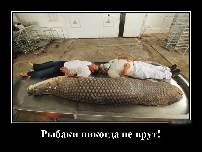 УТ Рыбаки никогда не вр