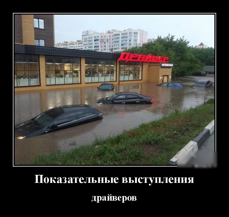 ПОКЙЗЗТСЛЬНЬПС ВЬПСТУПЛСНИЯ Драйверов