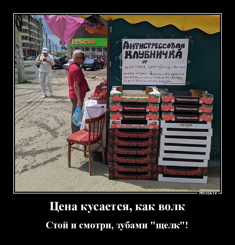 Антишпион _ ильдёничвя Цена кусается как волк Стой и смотри зубами шелк