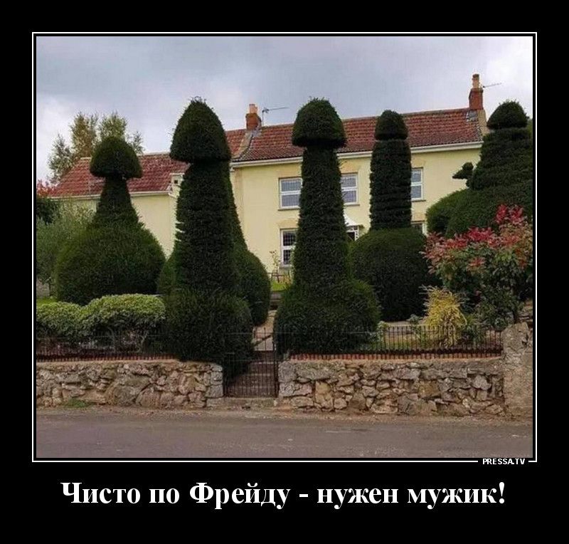 адепт Чисто по Фрейду нужен мужик