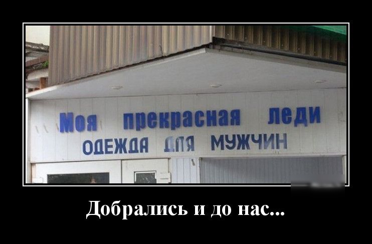 Добрались и до нас