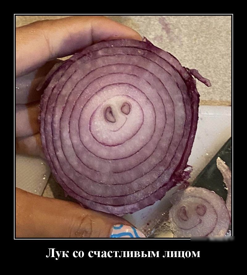 ЛУК СО СЧЯСТЛИВЫМ ЛИЦОМ