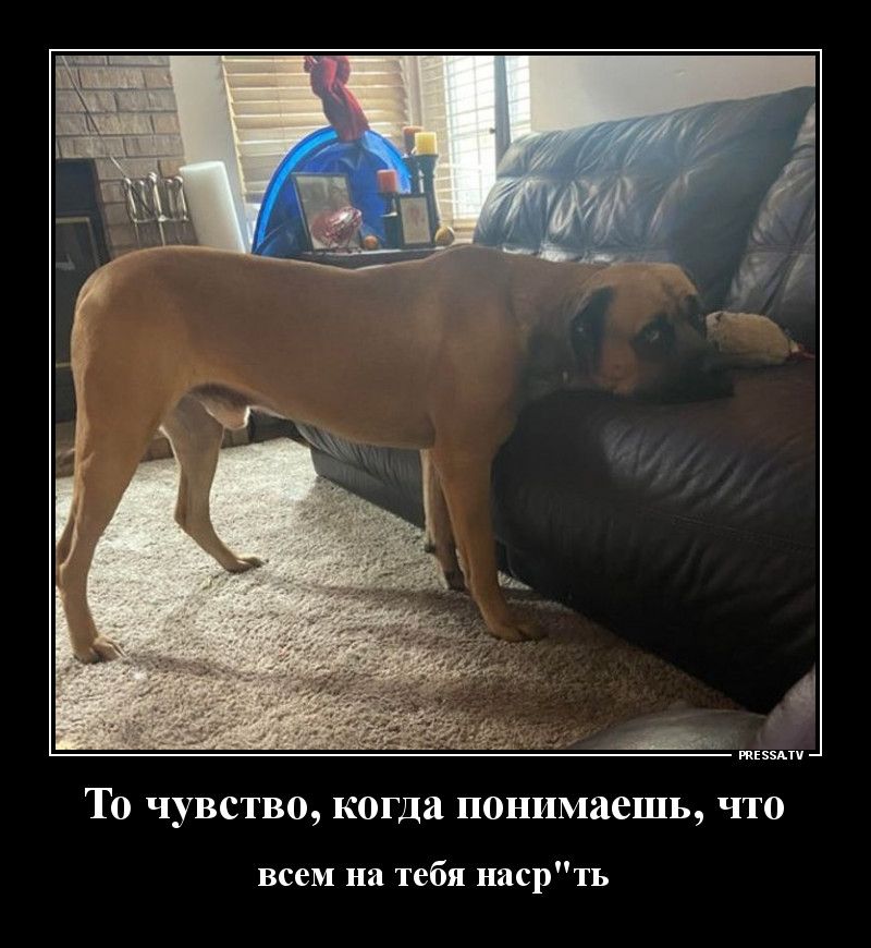 Щ тззми ТО ЧУВСТВО когда ПОНИМЗСШЬ ЧТО всем на тебя насрть
