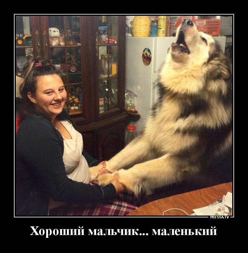 тззмч Хороший мальчик маленький