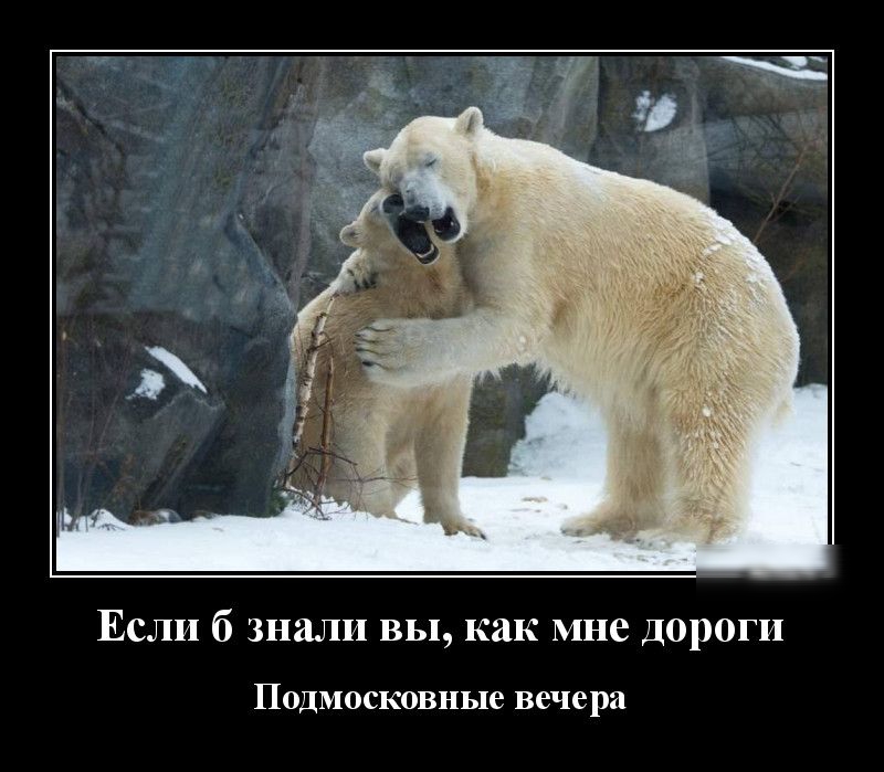 Если б знали вы как мне дороги ПОДМОСКОВНЬПе вечера