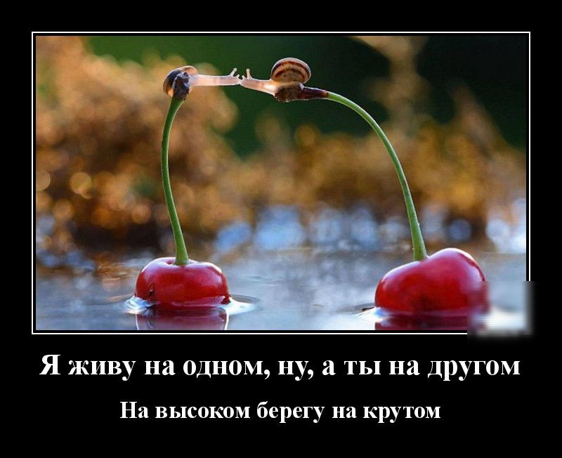 Я живу на одном ну а ты на другом На высоком берегу на крутом