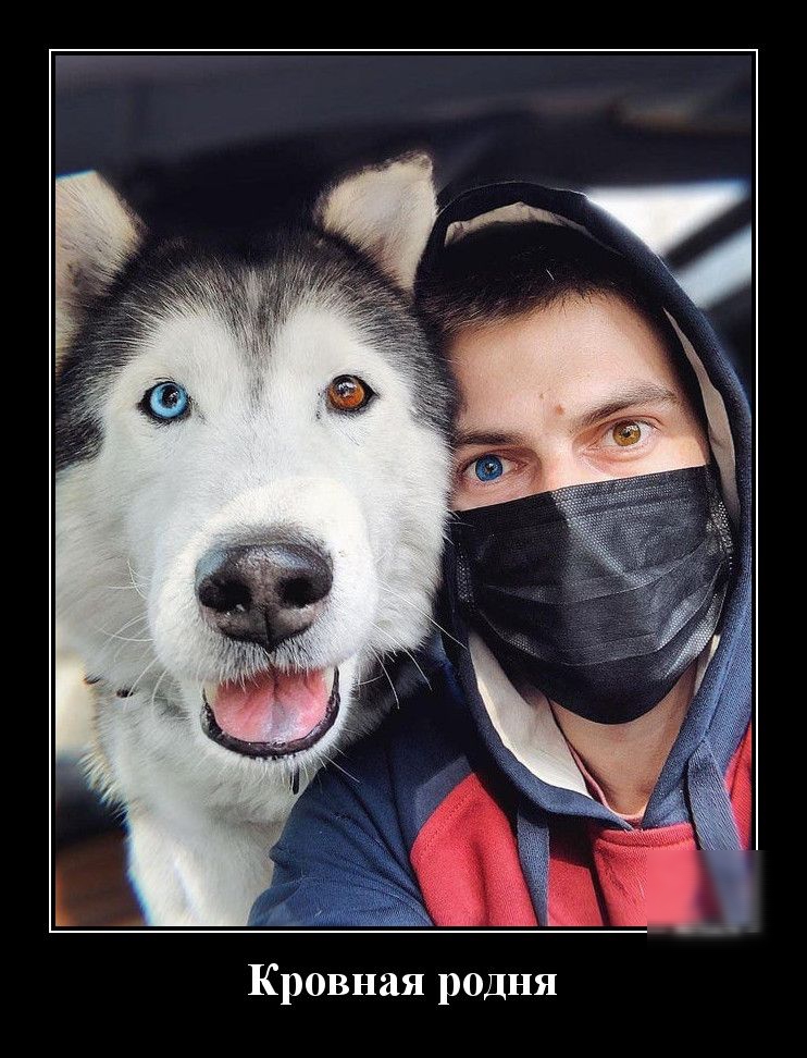 Ьтз А Кровная родня