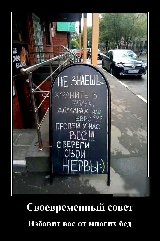 Своевременный совет Избавит вас от многих бед
