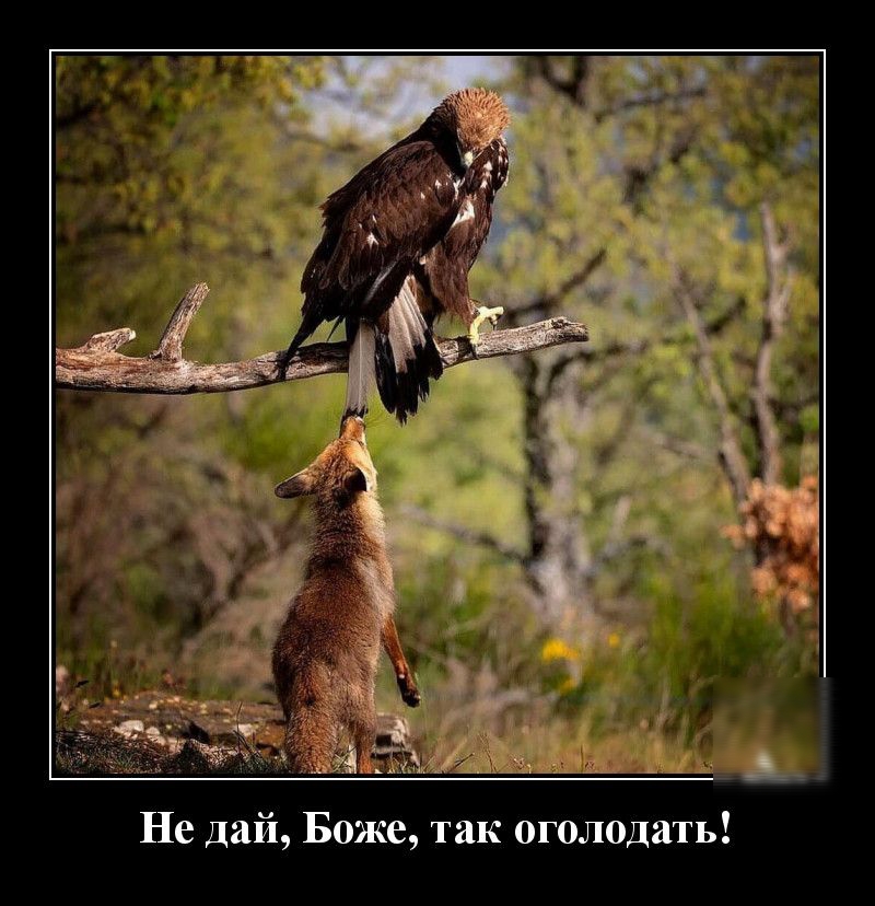 так оголодать й Боже Не да