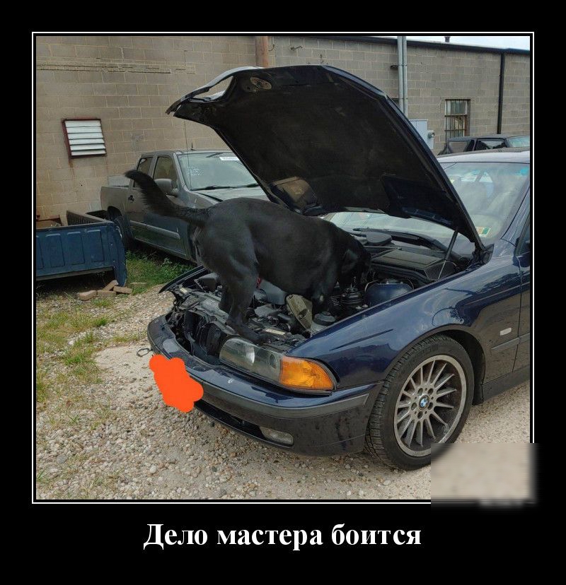 Дело мастера боится