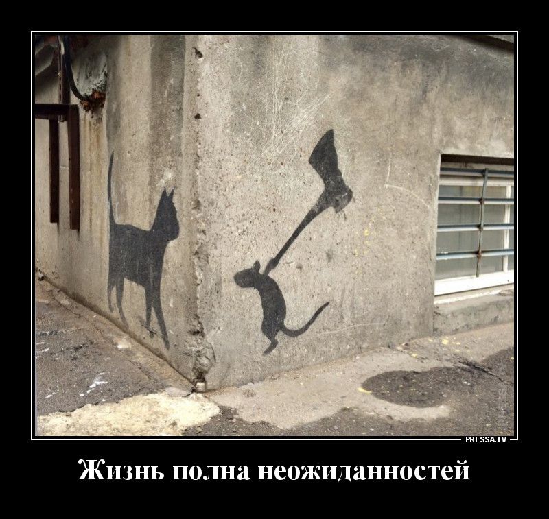 тззмп Жизнь полна неожиданностей