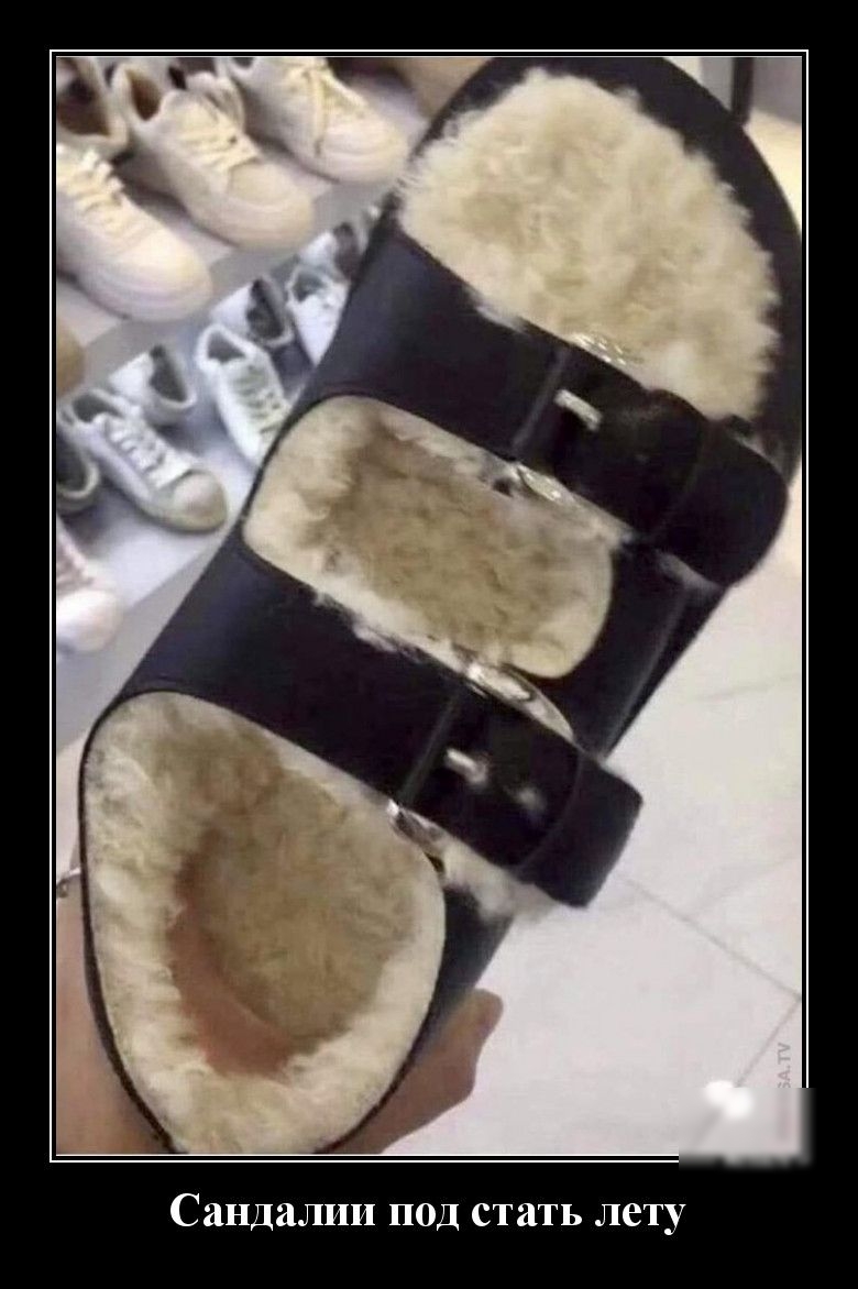 СНДЗЛЦЦ под стать лету