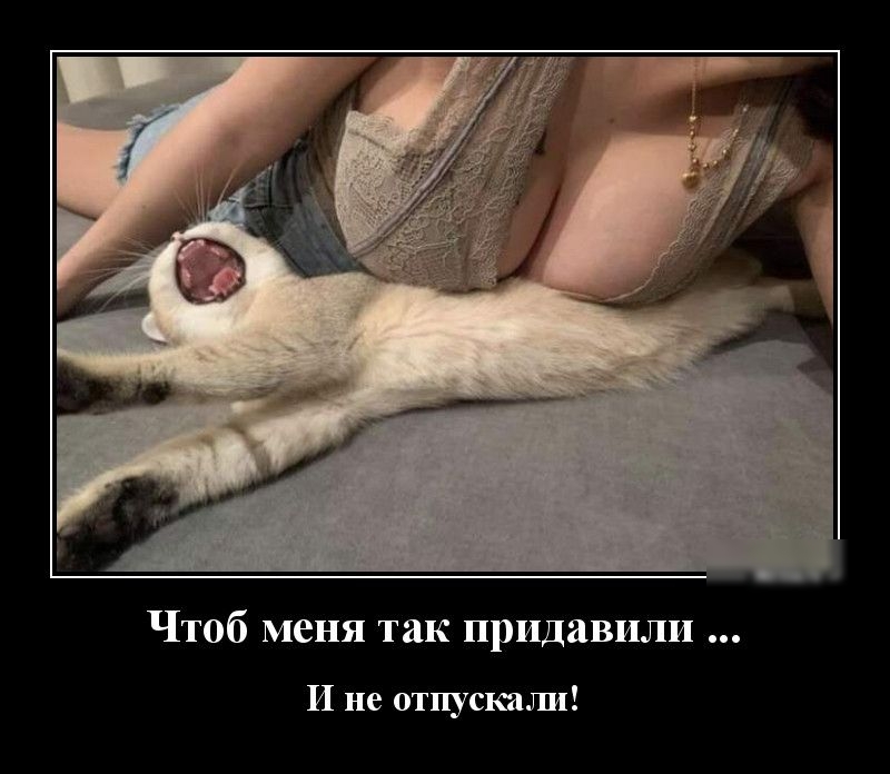 Чтоб меня так придавили И не отпускажш